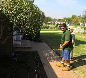 Tree trimming and tree cutting service in Los Angeles, CA