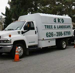 JR'S Tree Removal Service in Alhambra, CA