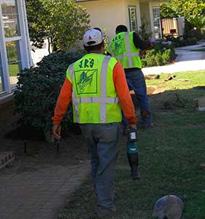 Professional tree removal service in Rosemead, CA