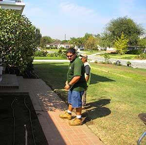We are Expert and professional tree removal service providers in San Marino