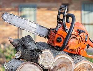 Professional Tree removal services in Rosemead, California