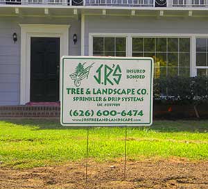 Tree Removal Service in South Pasadena, California