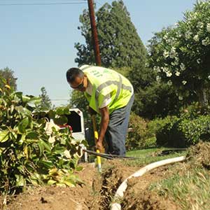 Tree service & landscape in Durate, CA