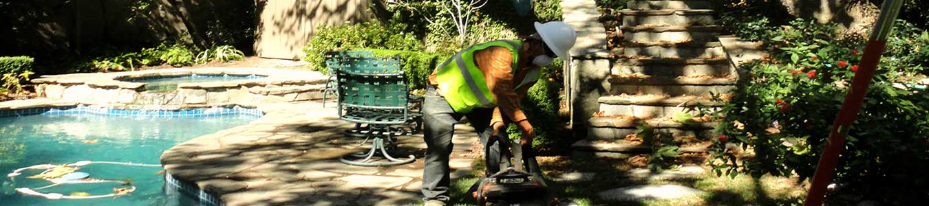 Expert Tree Service in Duarte, Residential and Commercial Services