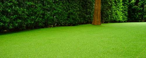 Artificial Grass in yard