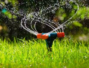 Garden sprinkler watering grass
