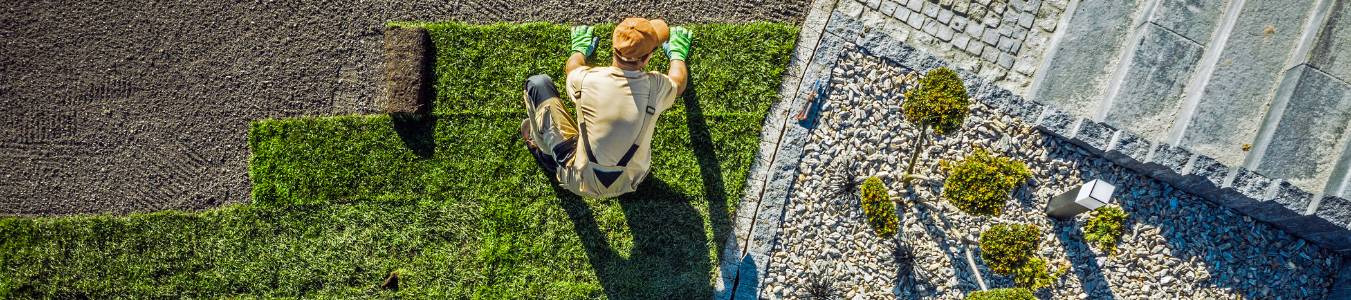 Landscaping Contractor Installing New Turf in Backyard
